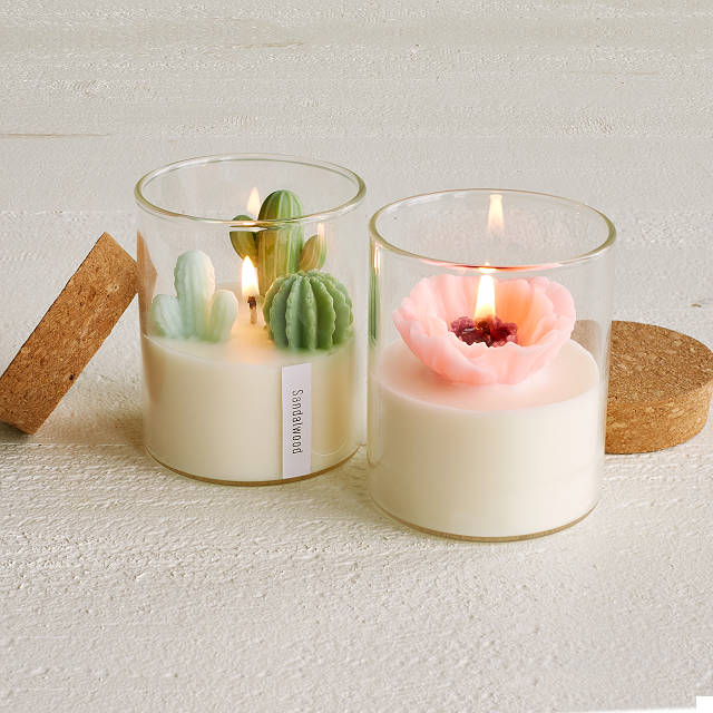 Valentine's Day Gift Ideas for Her by popular Utah life and style blogger, Kelly Snider: image of two terrarium candles. 