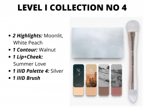 Level 1 Collections no 4