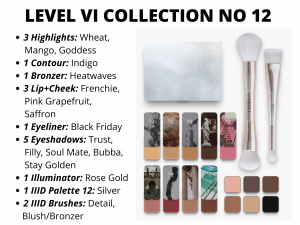 level VI Collection no 12