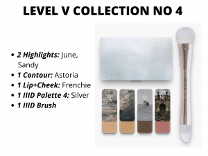 level V Collection no 4